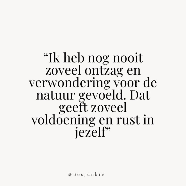 A5D5957A A6E2 40D8 96C9 853D07D3F53A 768x768